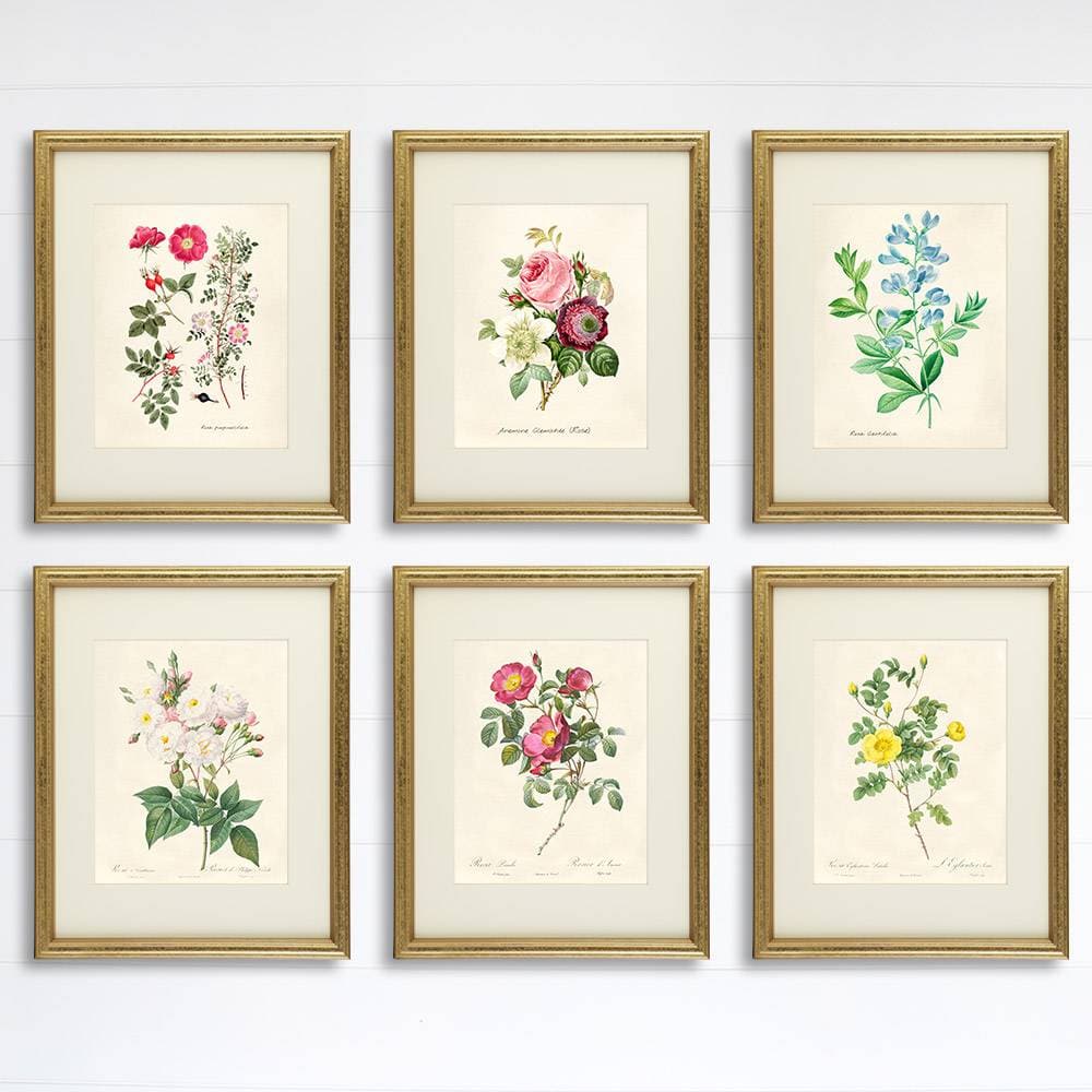 Vintage Roses Wall Art Prints (Set of 6) - 8x10s | Botanical Decor - Dream Big Printables