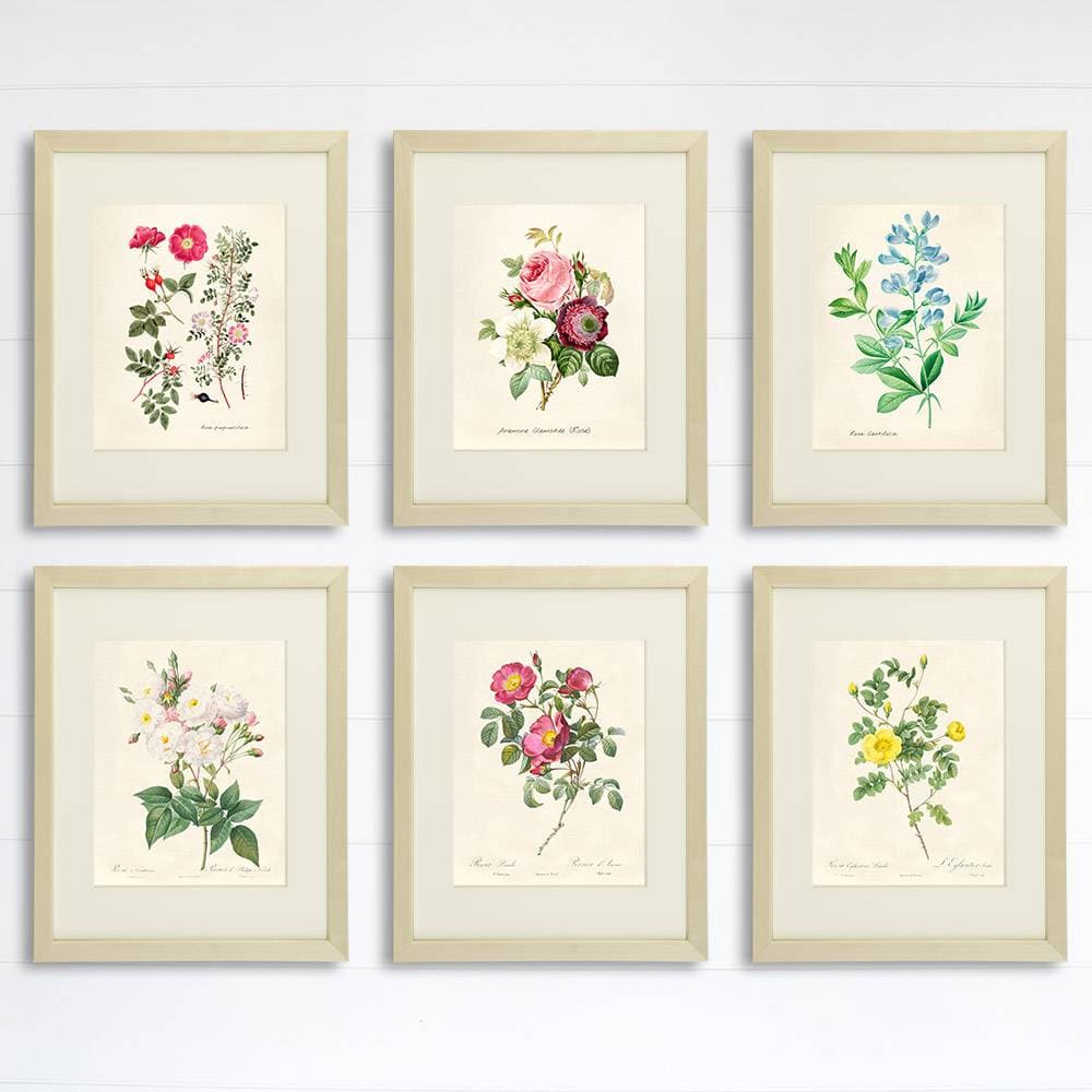 Vintage Roses Wall Art Prints (Set of 6) - 8x10s | Botanical Decor - Dream Big Printables