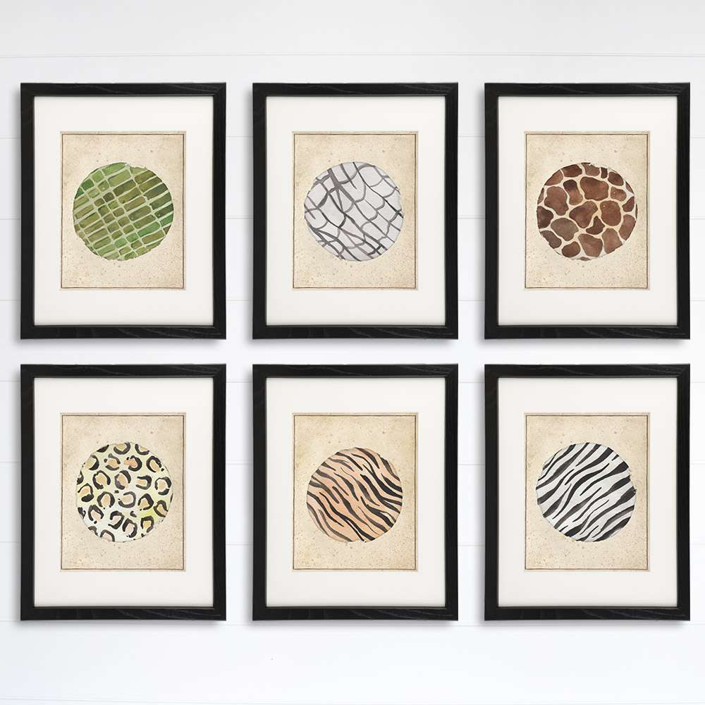 Animal Skins Art Prints (Set of 6) - 8x10s - Dream Big Printables