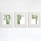 Bamboo Art Prints (Set of 3) - 8x10s - Dream Big Printables