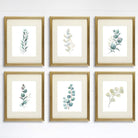 Botanical Prints Wall Art - Eucalyptus Leaves - (Set of 6) - 8x10s - Dream Big Printables