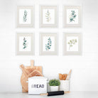 Botanical Prints Wall Art - Eucalyptus Leaves - (Set of 6) - 8x10s - Dream Big Printables