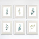 Botanical Prints Wall Art - Eucalyptus Leaves - (Set of 6) - 8x10s - Dream Big Printables