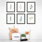 Botanical Prints Wall Art - Eucalyptus Leaves - (Set of 6) - 8x10s - Dream Big Printables