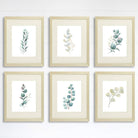 Botanical Prints Wall Art - Eucalyptus Leaves - (Set of 6) - 8x10s - Dream Big Printables