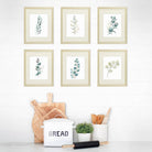 Botanical Prints Wall Art - Eucalyptus Leaves - (Set of 6) - 8x10s - Dream Big Printables