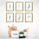 Botanical Prints Wall Art - Eucalyptus Leaves - (Set of 6) - 8x10s - Dream Big Printables