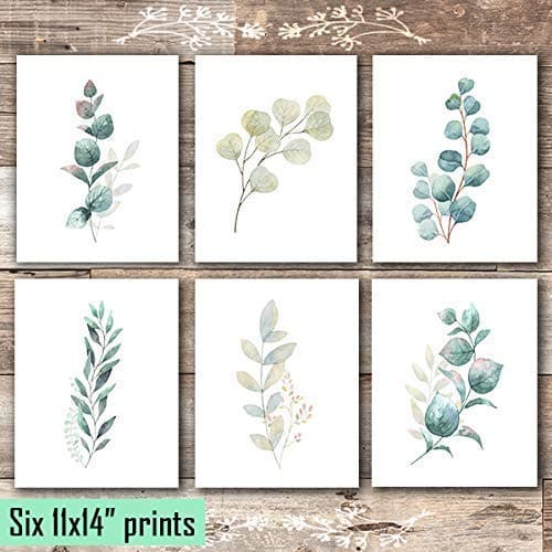 Botanical Prints Wall Art - Eucalyptus Leaves - (Set of 6) - Unframed - 11x14s - Dream Big Printables