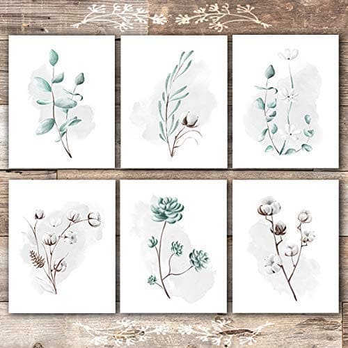 Eucalyptus and Cotton Botanical Prints Wall Art (Set of 6) - Unframed - 8x10s - Dream Big Printables