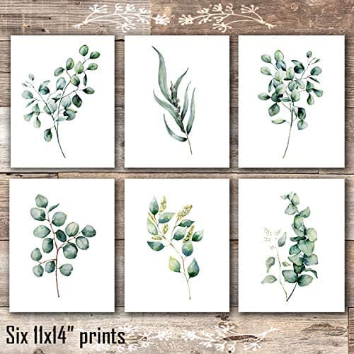 Eucalyptus Leaves Art Prints (Set of 6) - Unframed - 11x14s - Dream Big Printables