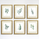 Eucalyptus Leaves | Botanical Prints Wall Art (Set of 6) - 8x10s - Dream Big Printables