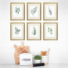 Eucalyptus Leaves | Botanical Prints Wall Art (Set of 6) - 8x10s - Dream Big Printables