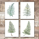 Fern Wall Art - Botanical Prints - (Set of 4) - 8x10s - Dream Big Printables