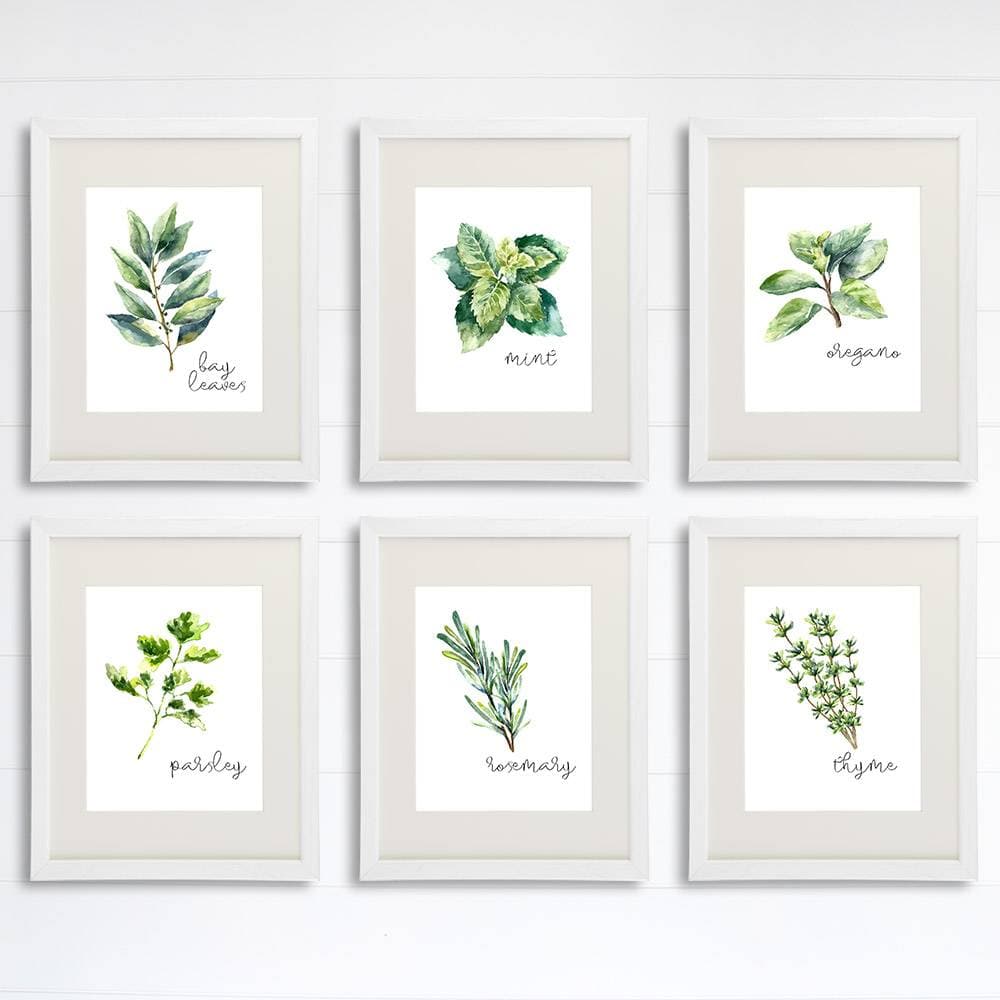 kitchen-herbs-art-prints-set-of-6-8x10-296448_1200x1200.jpg?v=1661982111