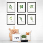 Kitchen Herbs Art Prints (Set of 6) - 8x10 - Dream Big Printables