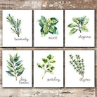 Kitchen Herbs Art Prints (Set of 6) - 8x10 - Dream Big Printables