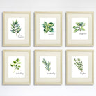 Kitchen Herbs Art Prints (Set of 6) - 8x10 - Dream Big Printables