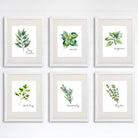 Kitchen Herbs Art Prints (Set of 6) - 8x10 - Dream Big Printables