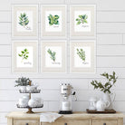 Kitchen Herbs Art Prints (Set of 6) - 8x10 - Dream Big Printables