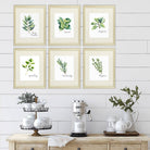 Kitchen Herbs Art Prints (Set of 6) - 8x10 - Dream Big Printables