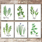 Kitchen Herbs Art Prints (Set of 6) - Unframed - 8x10s | Botanical Prints Wall Art - Dream Big Printables