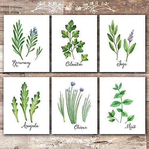 kitchen-herbs-art-prints-set-of-6-unframed-8x10s-botanical-prints-wall ...