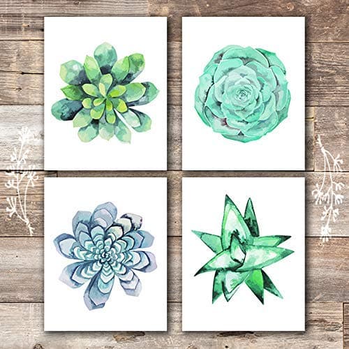 Succulent Wall Art Prints (Set of 4) - 8x10s | Botanical Prints - Dream Big Printables