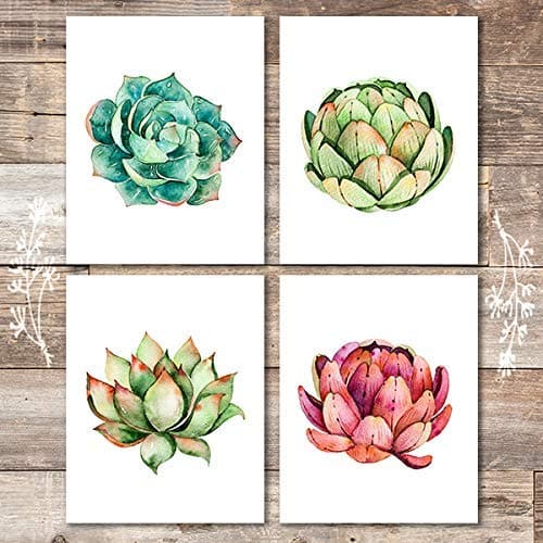 Succulent Wall Art Prints (Set of 4) - 8x10s | Botanical Prints Wall Art - Dream Big Printables