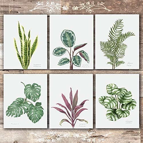 Tropical Leaves Wall Art (Set of 6) - Unframed - 8x10s | Botanical Prints - Dream Big Printables