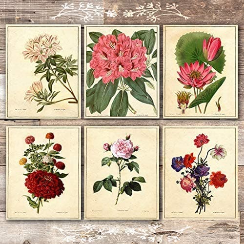 vintage-botanical-flowers-art-prints-set-of-6-unframed-8x10s-540418 ...